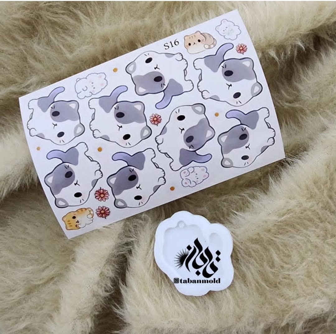 قالب s16
